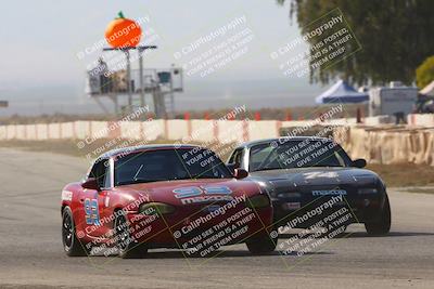 media/Oct-14-2023-CalClub SCCA (Sat) [[0628d965ec]]/Group 4/Race/